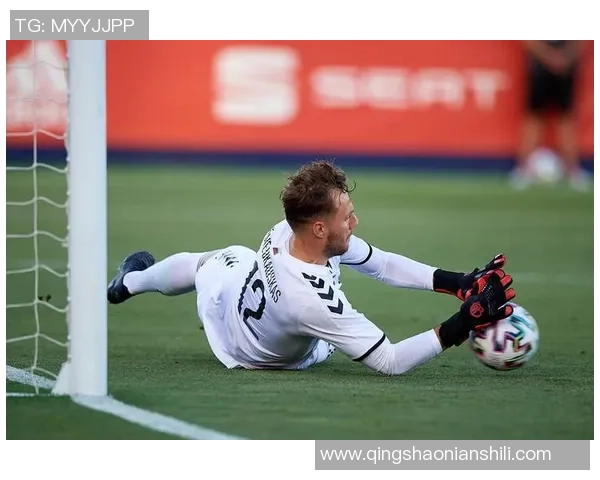 立陶宛足球传奇人物回顾及其在国际赛场的影响力解析